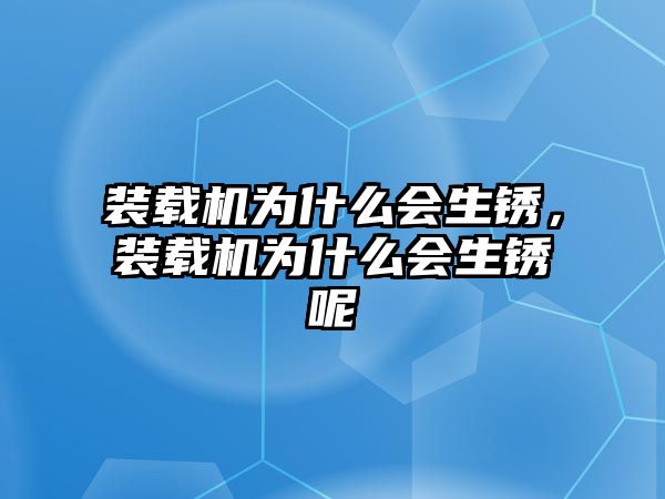 裝載機為什么會生銹，裝載機為什么會生銹呢