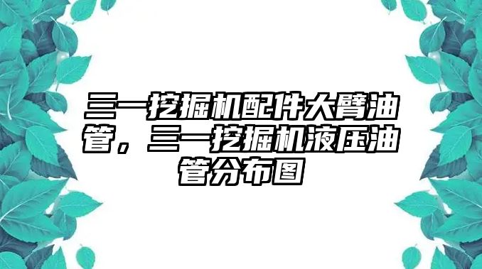 三一挖掘機(jī)配件大臂油管，三一挖掘機(jī)液壓油管分布圖