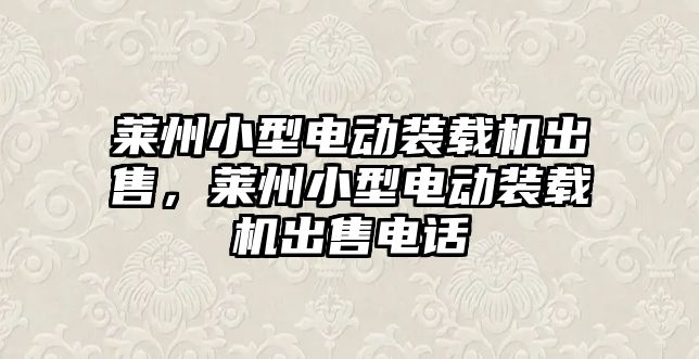 萊州小型電動裝載機出售，萊州小型電動裝載機出售電話