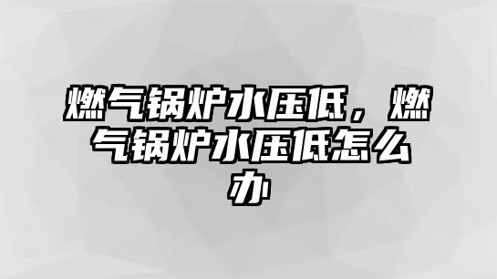 燃?xì)忮仩t水壓低，燃?xì)忮仩t水壓低怎么辦