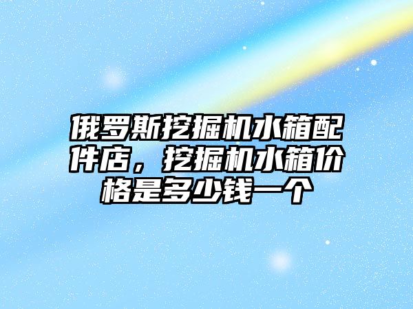 俄羅斯挖掘機水箱配件店，挖掘機水箱價格是多少錢一個