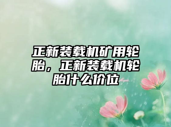 正新裝載機礦用輪胎，正新裝載機輪胎什么價位