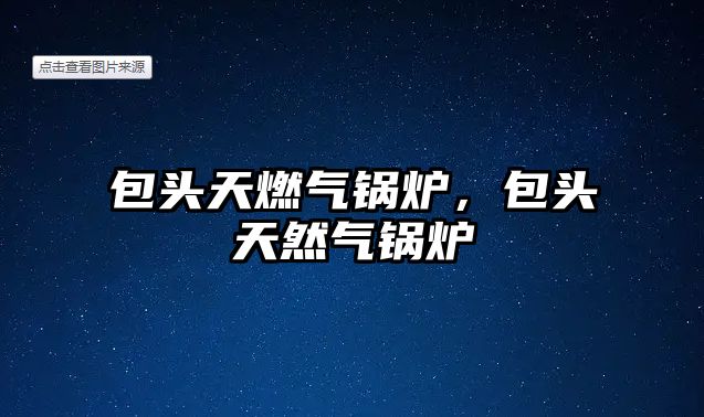 包頭天燃?xì)忮仩t，包頭天然氣鍋爐