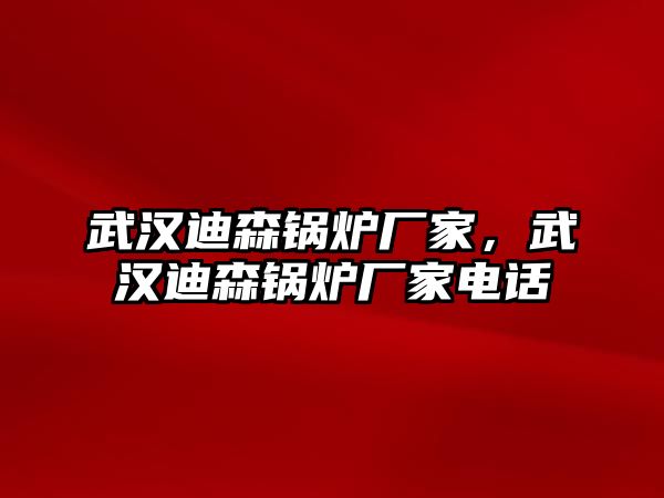 武漢迪森鍋爐廠家，武漢迪森鍋爐廠家電話