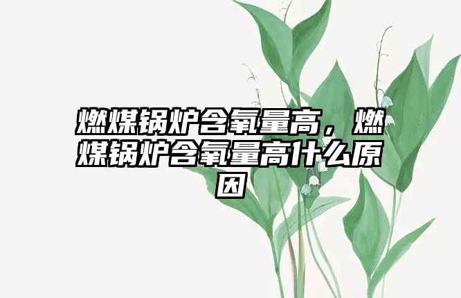 燃煤鍋爐含氧量高，燃煤鍋爐含氧量高什么原因