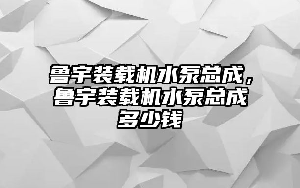 魯宇裝載機水泵總成，魯宇裝載機水泵總成多少錢