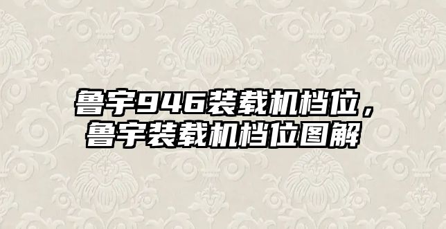 魯宇946裝載機檔位，魯宇裝載機檔位圖解