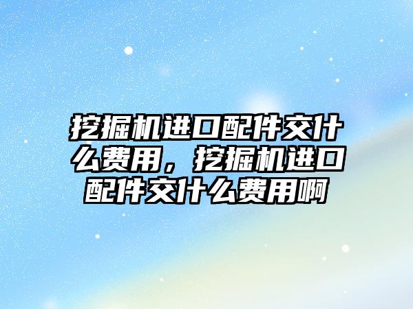 挖掘機進口配件交什么費用，挖掘機進口配件交什么費用啊