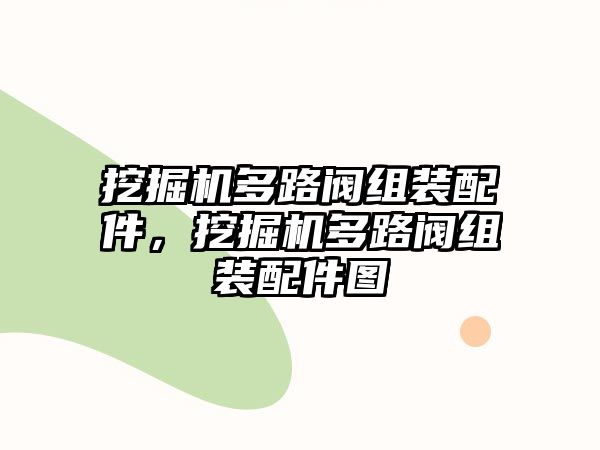 挖掘機多路閥組裝配件，挖掘機多路閥組裝配件圖