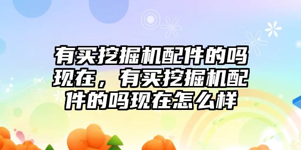 有買挖掘機配件的嗎現(xiàn)在，有買挖掘機配件的嗎現(xiàn)在怎么樣