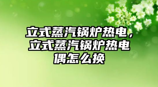 立式蒸汽鍋爐熱電，立式蒸汽鍋爐熱電偶怎么換