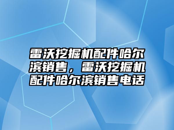 雷沃挖掘機配件哈爾濱銷售，雷沃挖掘機配件哈爾濱銷售電話