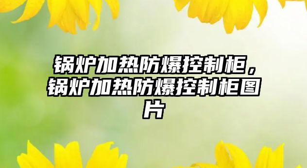 鍋爐加熱防爆控制柜，鍋爐加熱防爆控制柜圖片