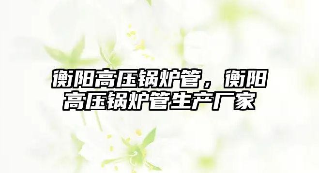 衡陽高壓鍋爐管，衡陽高壓鍋爐管生產(chǎn)廠家