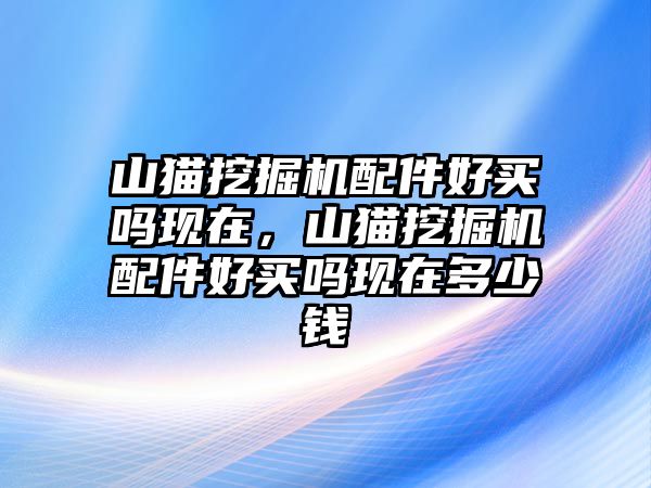 山貓挖掘機配件好買嗎現(xiàn)在，山貓挖掘機配件好買嗎現(xiàn)在多少錢