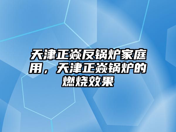 天津正焱反鍋爐家庭用，天津正焱鍋爐的燃燒效果