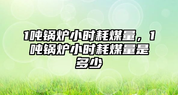 1噸鍋爐小時(shí)耗煤量，1噸鍋爐小時(shí)耗煤量是多少