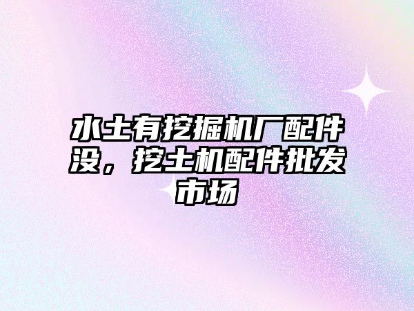 水土有挖掘機(jī)廠配件沒，挖土機(jī)配件批發(fā)市場