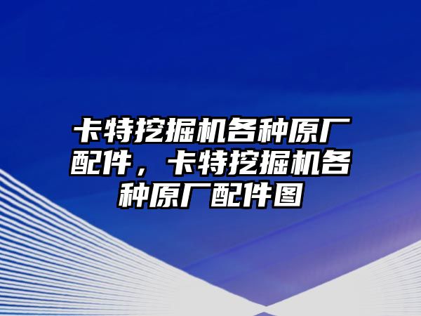 卡特挖掘機各種原廠配件，卡特挖掘機各種原廠配件圖