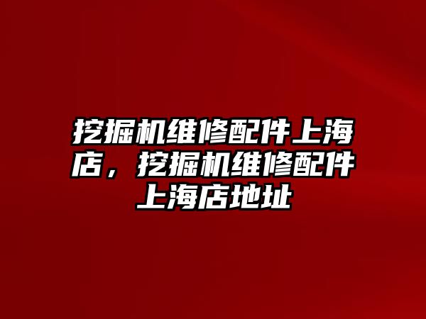 挖掘機(jī)維修配件上海店，挖掘機(jī)維修配件上海店地址