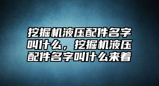 挖掘機(jī)液壓配件名字叫什么，挖掘機(jī)液壓配件名字叫什么來著