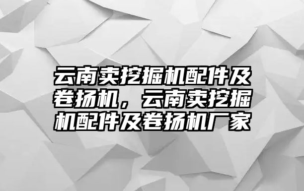 云南賣挖掘機(jī)配件及卷?yè)P(yáng)機(jī)，云南賣挖掘機(jī)配件及卷?yè)P(yáng)機(jī)廠家