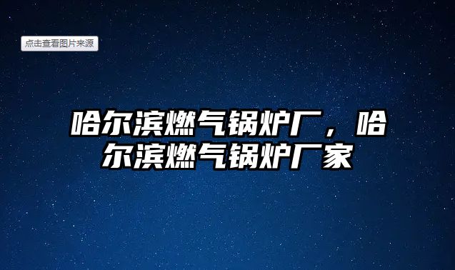 哈爾濱燃?xì)忮仩t廠，哈爾濱燃?xì)忮仩t廠家