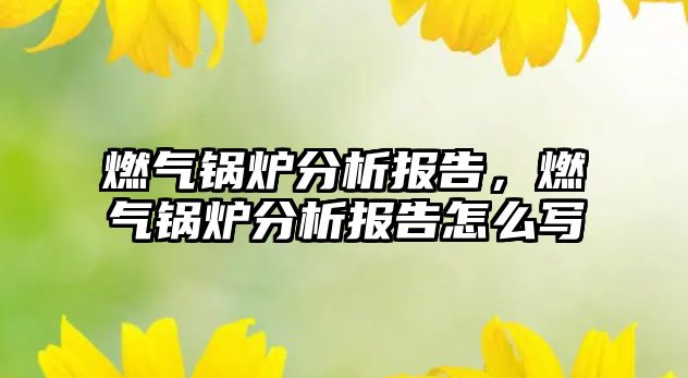 燃氣鍋爐分析報告，燃氣鍋爐分析報告怎么寫