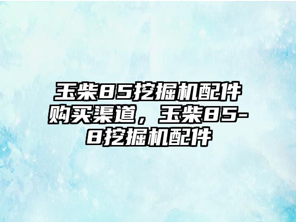 玉柴85挖掘機(jī)配件購(gòu)買(mǎi)渠道，玉柴85-8挖掘機(jī)配件