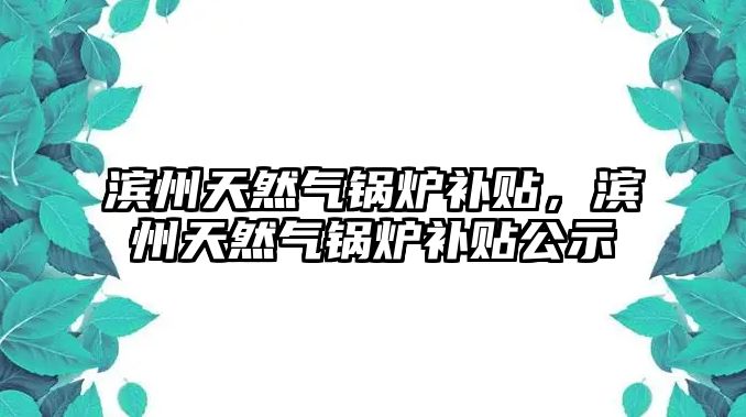 濱州天然氣鍋爐補貼，濱州天然氣鍋爐補貼公示