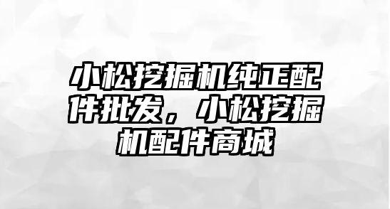 小松挖掘機純正配件批發(fā)，小松挖掘機配件商城