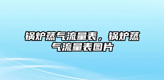 鍋爐蒸氣流量表，鍋爐蒸氣流量表圖片