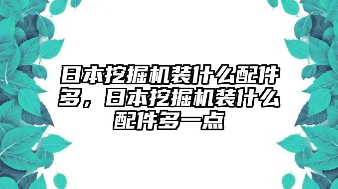 日本挖掘機(jī)裝什么配件多，日本挖掘機(jī)裝什么配件多一點(diǎn)