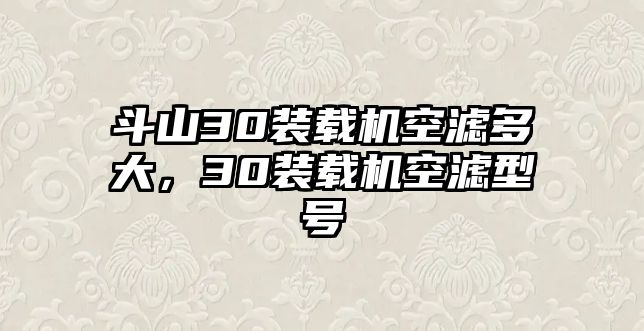 斗山30裝載機(jī)空濾多大，30裝載機(jī)空濾型號