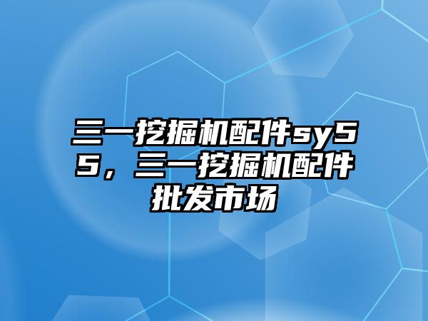 三一挖掘機(jī)配件sy55，三一挖掘機(jī)配件批發(fā)市場