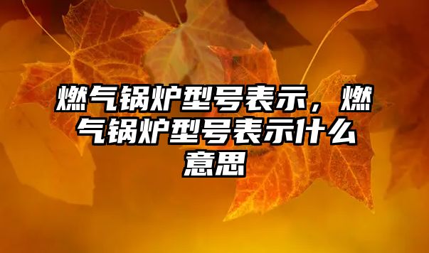 燃?xì)忮仩t型號表示，燃?xì)忮仩t型號表示什么意思