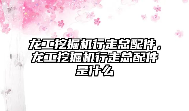 龍工挖掘機(jī)行走總配件，龍工挖掘機(jī)行走總配件是什么