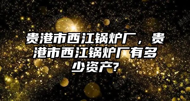 貴港市西江鍋爐廠(chǎng)，貴港市西江鍋爐廠(chǎng)有多少資產(chǎn)?