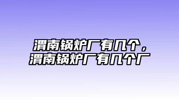 渭南鍋爐廠有幾個，渭南鍋爐廠有幾個廠