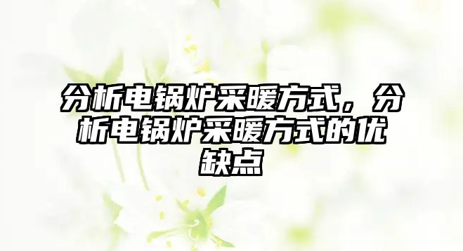 分析電鍋爐采暖方式，分析電鍋爐采暖方式的優(yōu)缺點