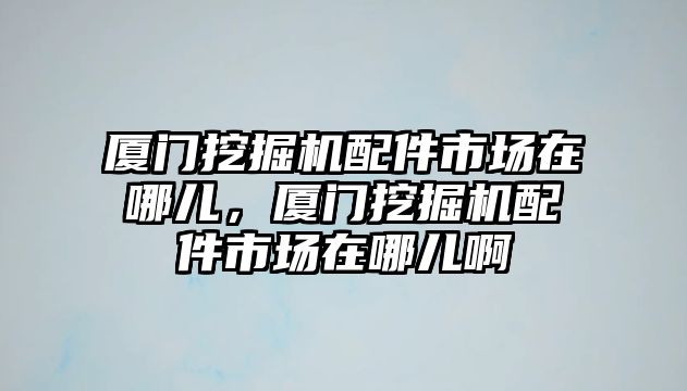 廈門挖掘機(jī)配件市場在哪兒，廈門挖掘機(jī)配件市場在哪兒啊