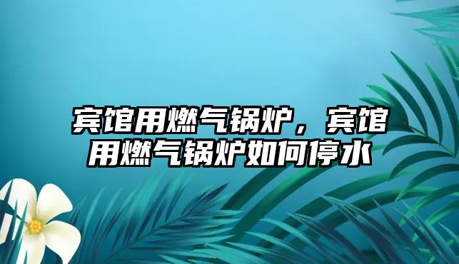 賓館用燃?xì)忮仩t，賓館用燃?xì)忮仩t如何停水