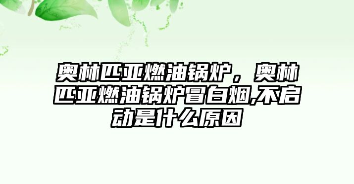 奧林匹亞燃油鍋爐，奧林匹亞燃油鍋爐冒白煙,不啟動(dòng)是什么原因