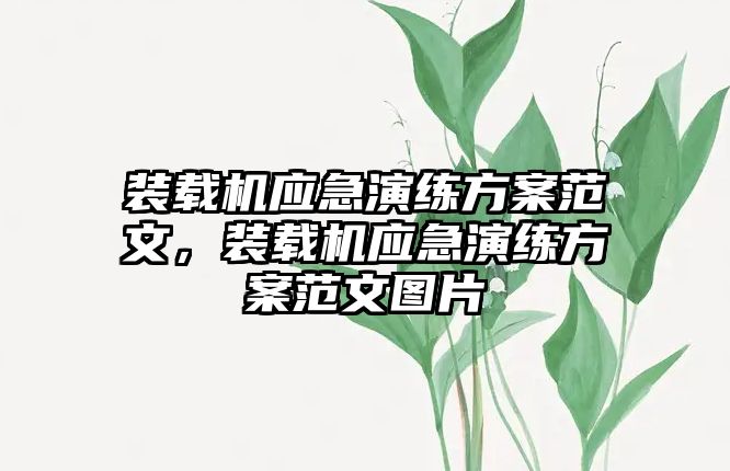 裝載機(jī)應(yīng)急演練方案范文，裝載機(jī)應(yīng)急演練方案范文圖片