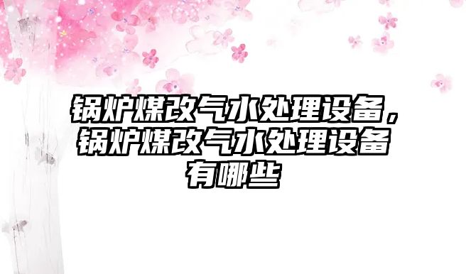 鍋爐煤改氣水處理設(shè)備，鍋爐煤改氣水處理設(shè)備有哪些