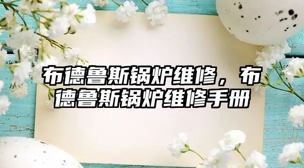 布德魯斯鍋爐維修，布德魯斯鍋爐維修手冊