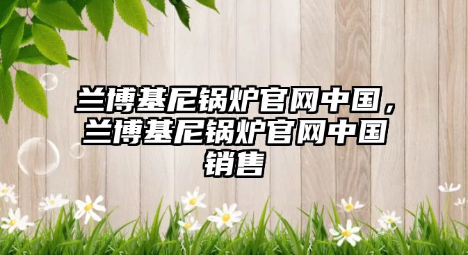 蘭博基尼鍋爐官網(wǎng)中國，蘭博基尼鍋爐官網(wǎng)中國銷售