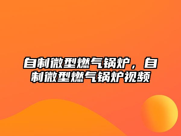 自制微型燃?xì)忮仩t，自制微型燃?xì)忮仩t視頻