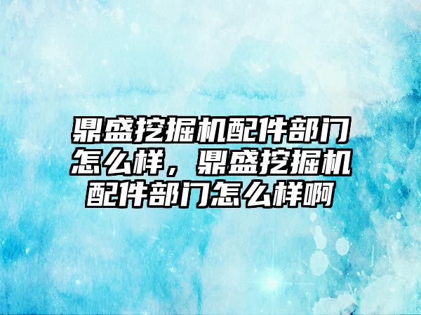 鼎盛挖掘機配件部門怎么樣，鼎盛挖掘機配件部門怎么樣啊