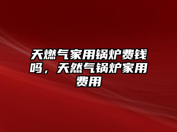 天燃?xì)饧矣缅仩t費(fèi)錢(qián)嗎，天然氣鍋爐家用費(fèi)用